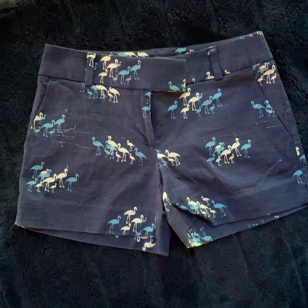 Ann Taylor loft shorts